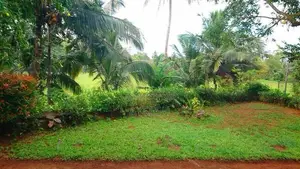 House for Sale - Remuna