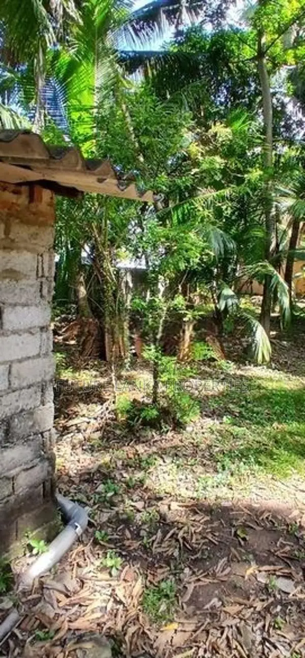 Residencial Land for Sale in Dehiwala