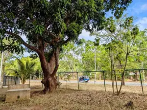 Land for Sale in Kataragama