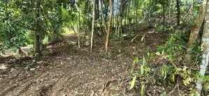 Premium Rainforest Land for Sale – Hikkaduwa Tourist Zone