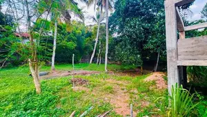 Kandana Land Sale පර්චස් 12.5