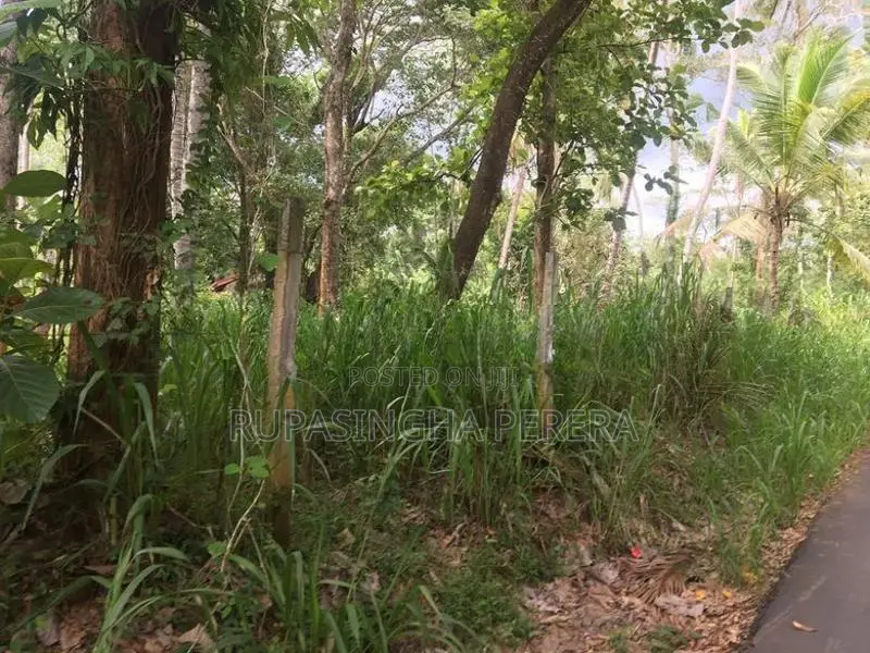 Land for Sale Ampara
