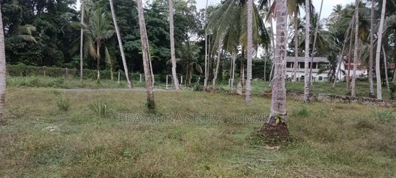 Land for Sale Asgiriwalpola
