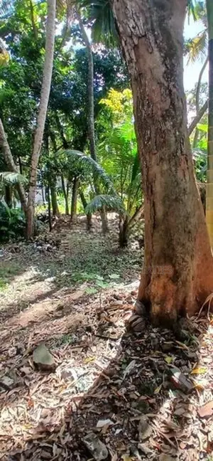 Residencial Land for Sale in Dehiwala