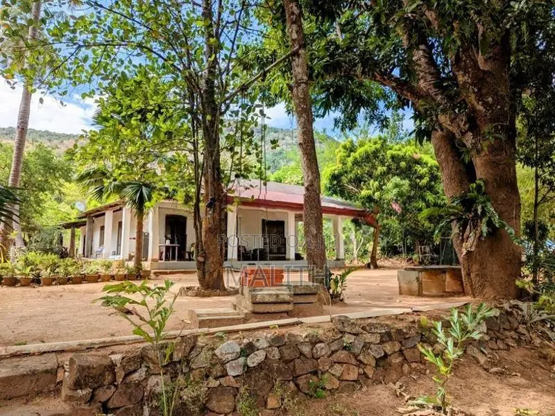 Land for Sale in Kataragama