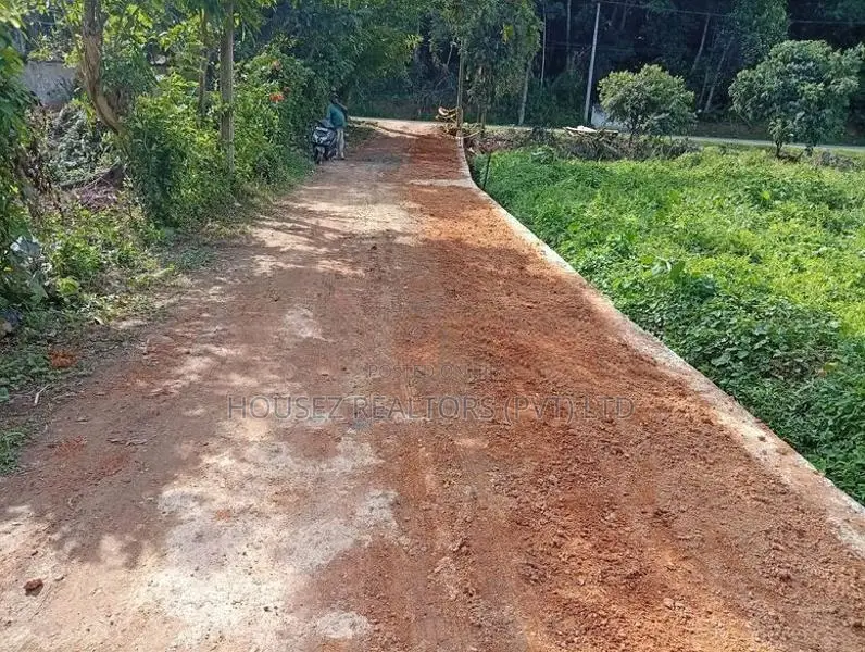 Premium Rainforest Land for Sale – Hikkaduwa Tourist Zone