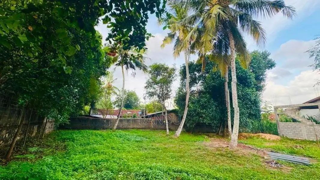 Kandana Land Sale පර්චස් 12.5