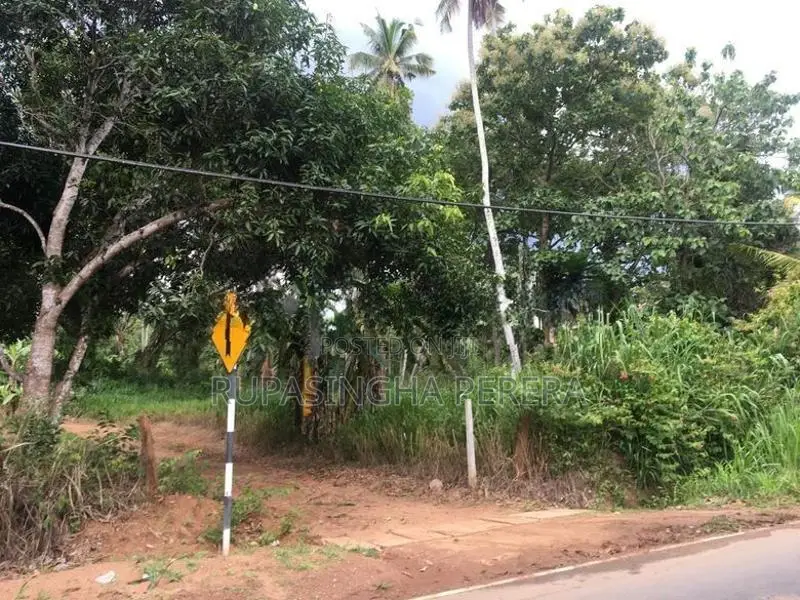 Land for Sale Ampara