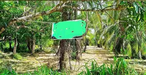 Land for Sale Wariyapola