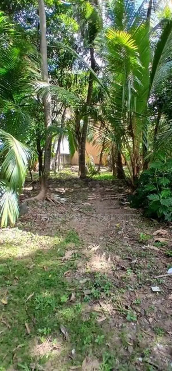 Residencial Land for Sale in Dehiwala