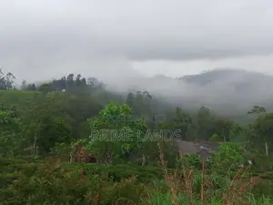 Beautiful Land for Sale in Kandy Nillabe