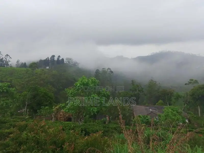 Beautiful Land for Sale in Kandy Nillabe