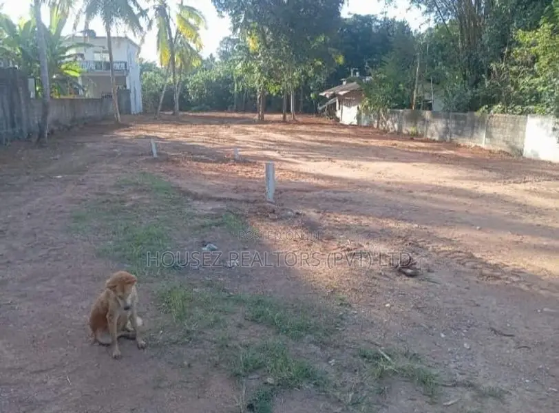 50-Perch Residential Land – Nittambuwa