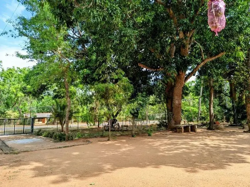 Land for Sale in Kataragama