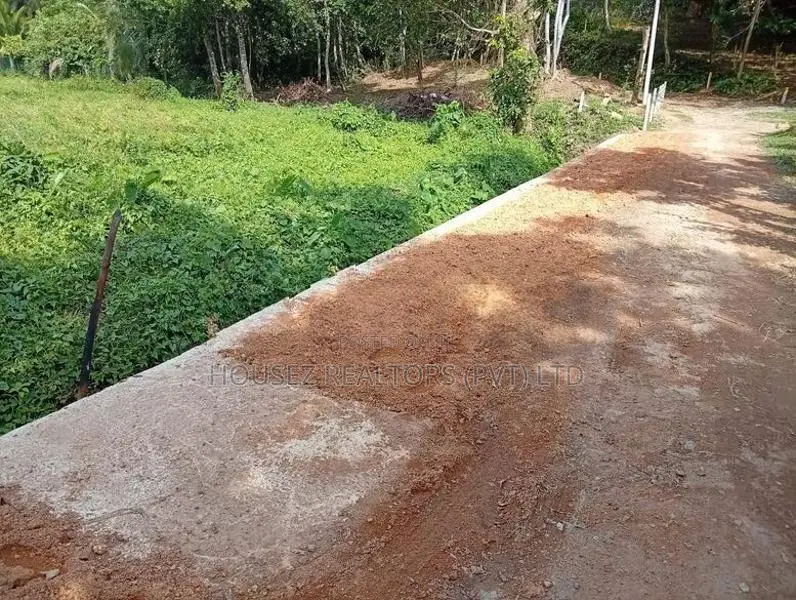 Premium Rainforest Land for Sale – Hikkaduwa Tourist Zone