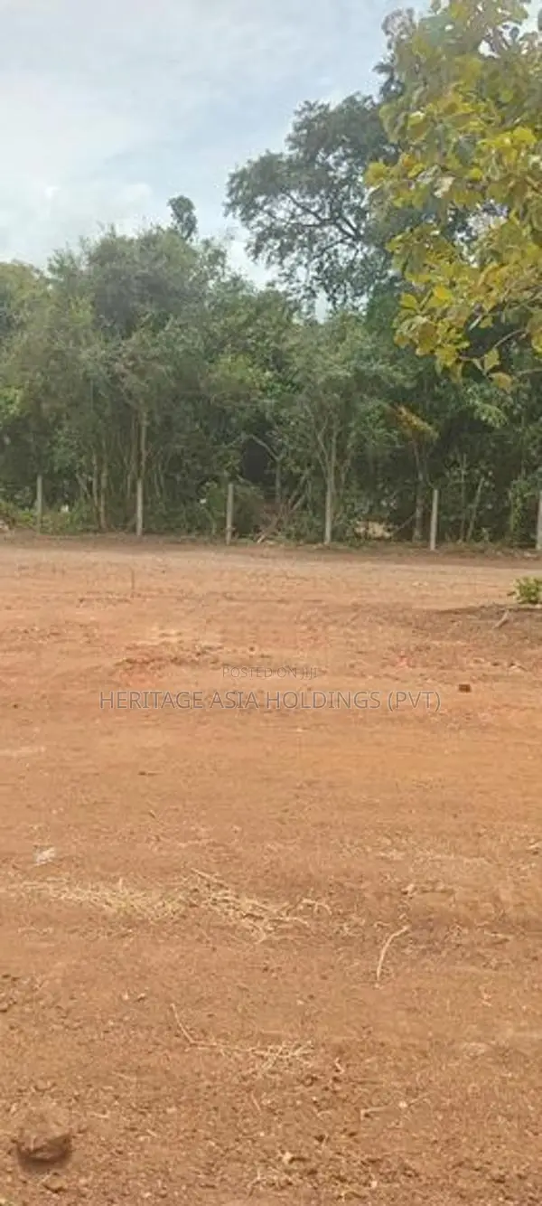 අනුරාධපුරින් සින්නක්කර ඉඩමක් විකිනිමට