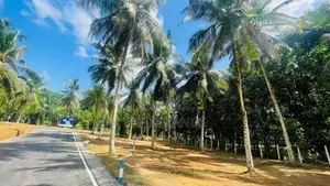 Matthegoda Residential Land for Sale in Jaamgas Handiya