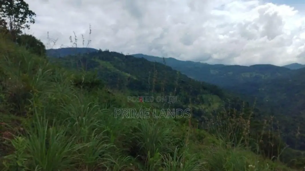 Beautiful Land for Sale in Kandy Nillabe