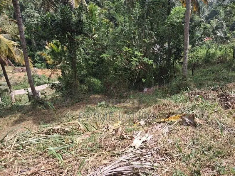 Residential Land for Sale in Hiriwadunna