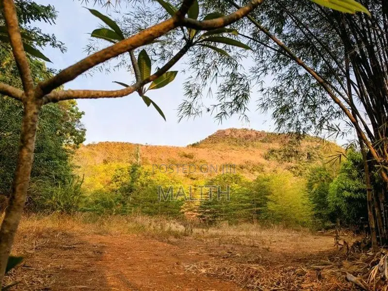 Land for Sale in Kataragama