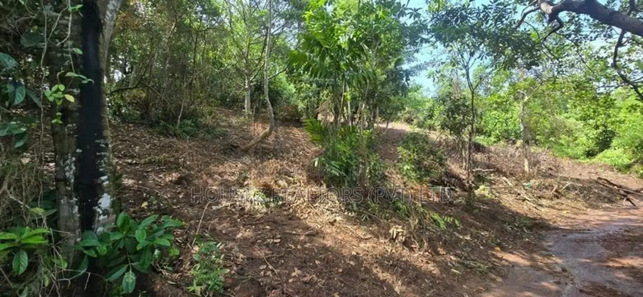 Premium Rainforest Land for Sale – Hikkaduwa Tourist Zone
