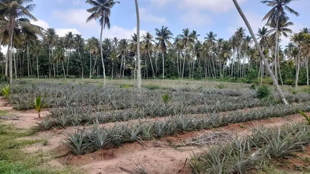2 Acres Land For Sale In Dankotuwa