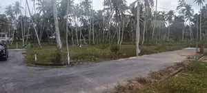 Land for Sale Asgiriwalpola