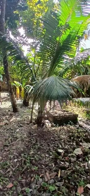 Residencial Land for Sale in Dehiwala
