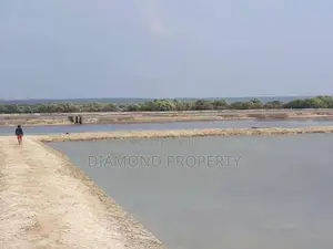 Land Sale in Puttalam