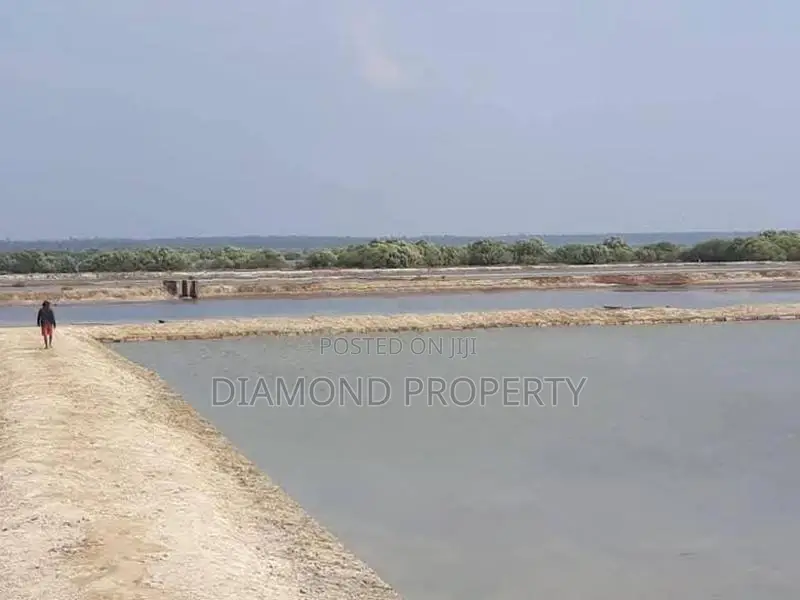 Land Sale in Puttalam
