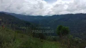 Beautiful Land for Sale in Kandy Nillabe