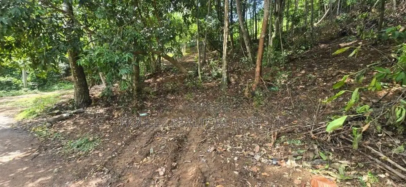 Premium Rainforest Land for Sale – Hikkaduwa Tourist Zone