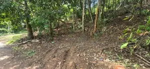 Premium Rainforest Land for Sale – Hikkaduwa Tourist Zone