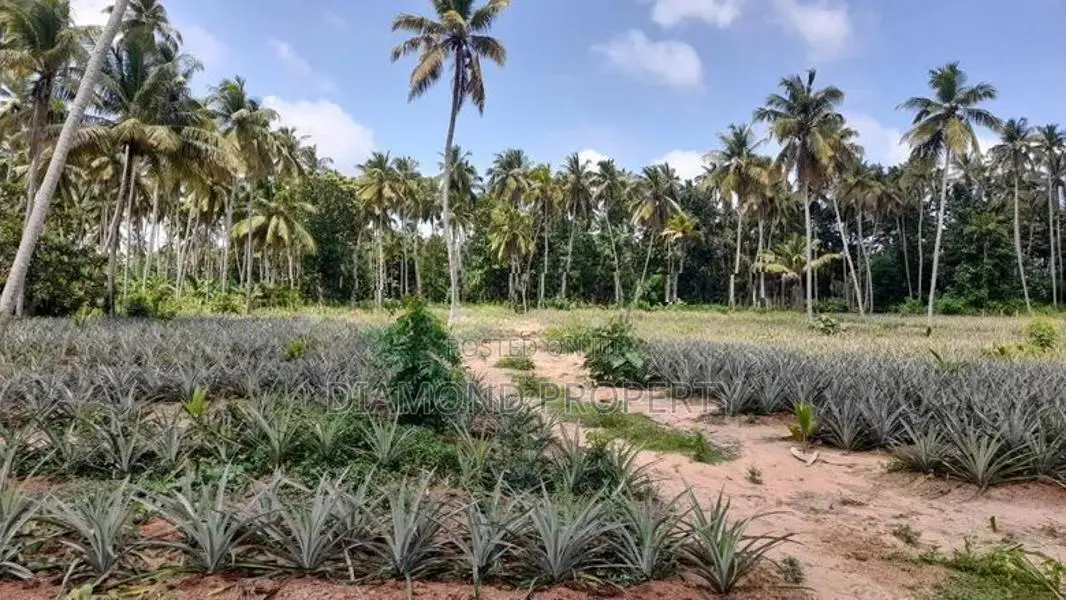2 Acres Land For Sale In Dankotuwa