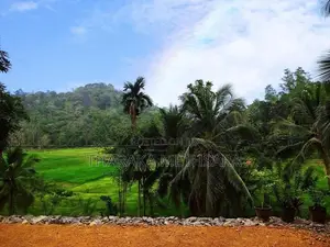 Modern House with Nice View. Elpitiya