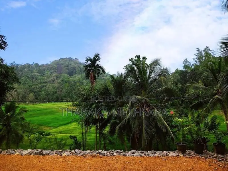 Modern House with Nice View. Elpitiya