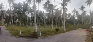 Land for Sale Asgiriwalpola