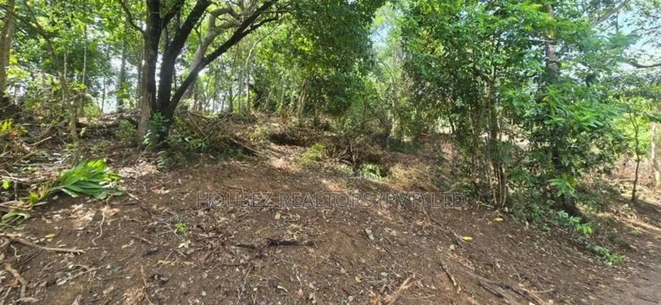 Premium Rainforest Land for Sale – Hikkaduwa Tourist Zone