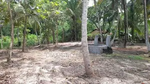 Binggiriya Land with House Sale