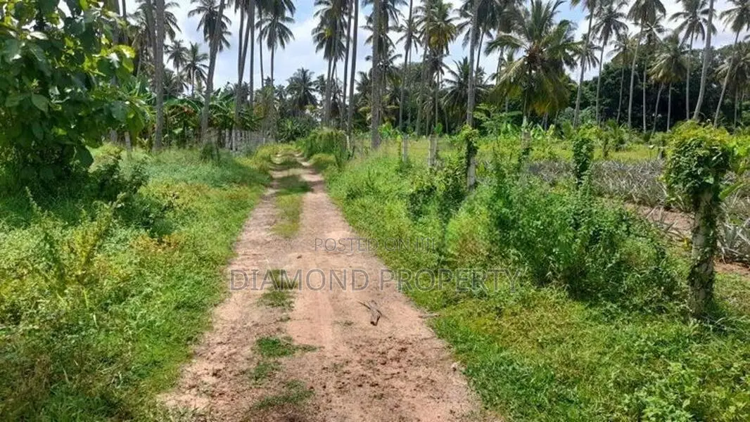 2 Acres Land For Sale In Dankotuwa