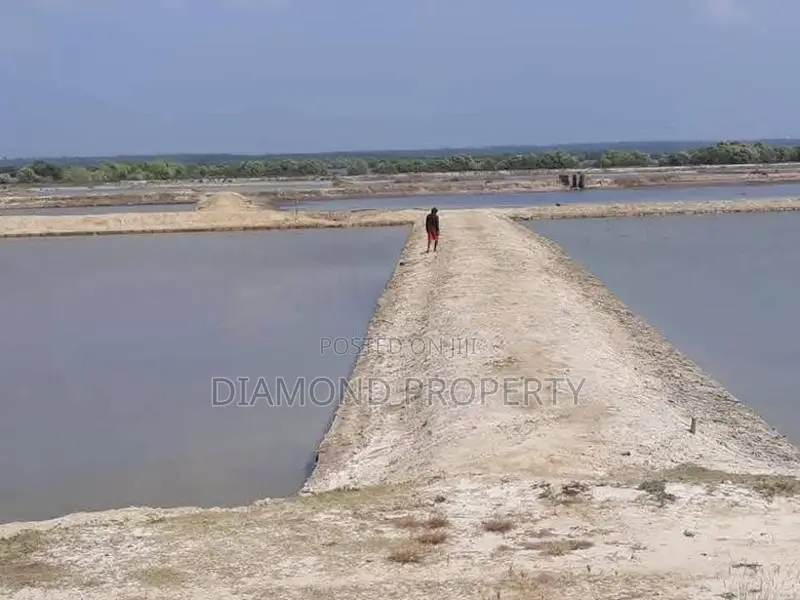 Land Sale in Puttalam