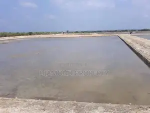 Land Sale in Puttalam