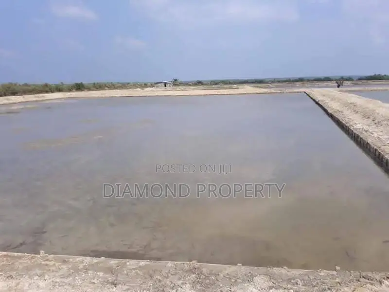 Land Sale in Puttalam