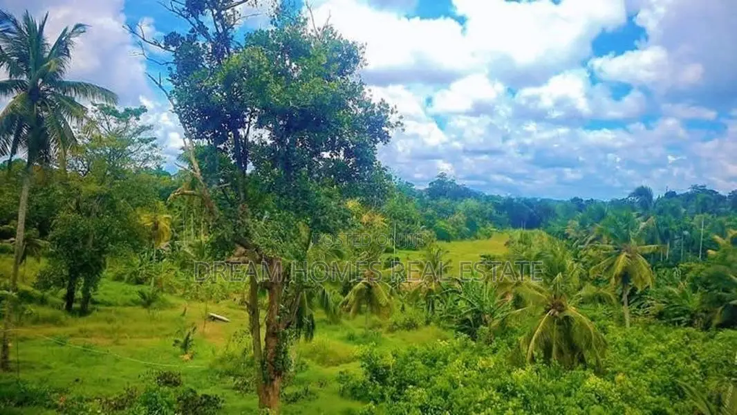 Luxury 5BR House for Sale in Piliyandala