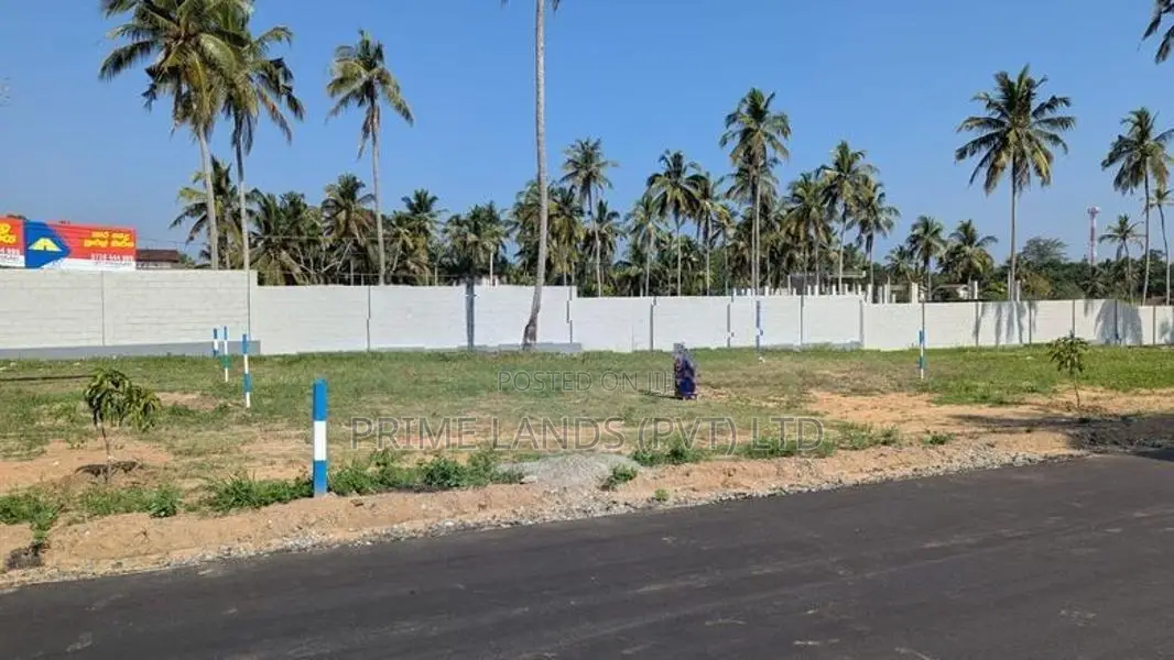 මල් කඩුවාවෙන් බිම් කොටස්
