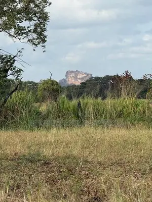 Land for Sale Sigiriya