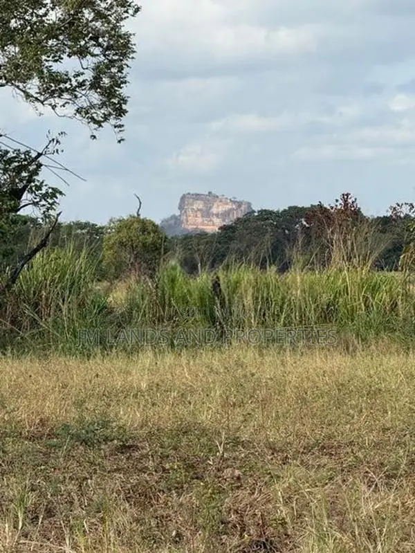Land for Sale Sigiriya