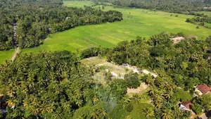 Minuwangoda Land for Sale ( Paddy Field Front )