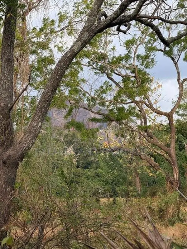 Land for Sale Sigiriya