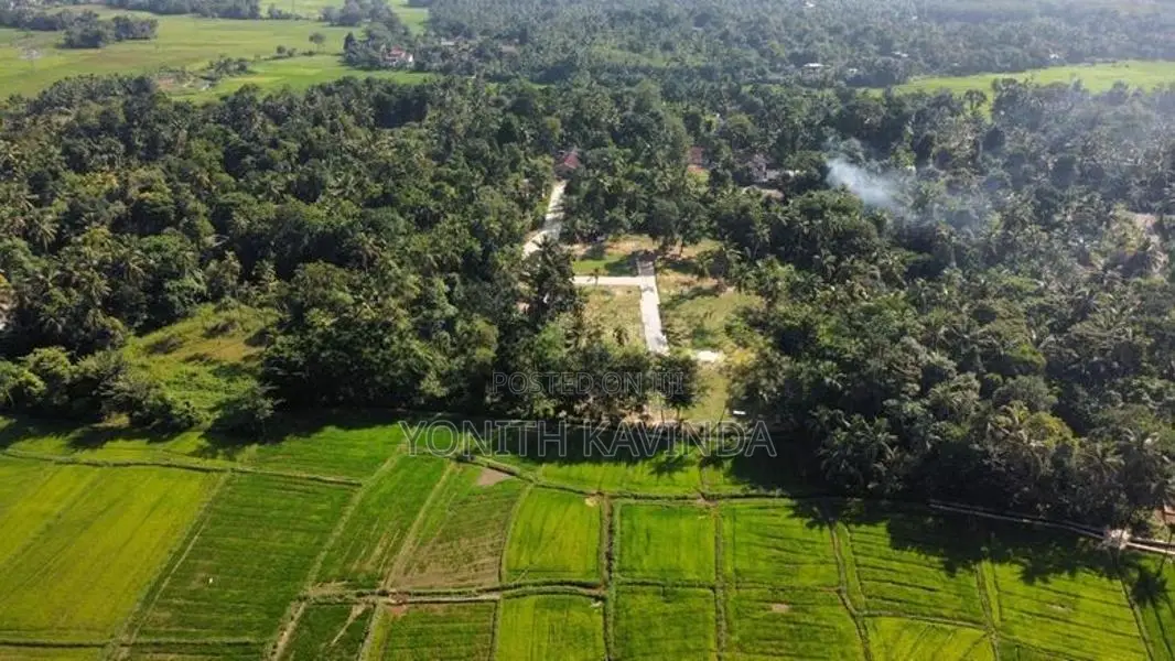 Minuwangoda Land for Sale ( Paddy Field Front )